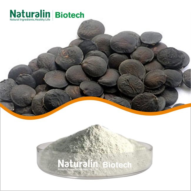 Griffonia Seed Extract Powder Griffonia Seed Extract Powder